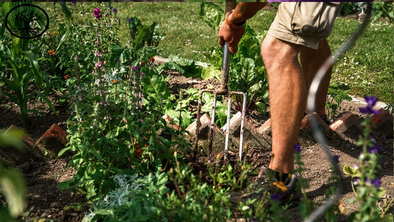Garden Clearance | Garden clearance near me