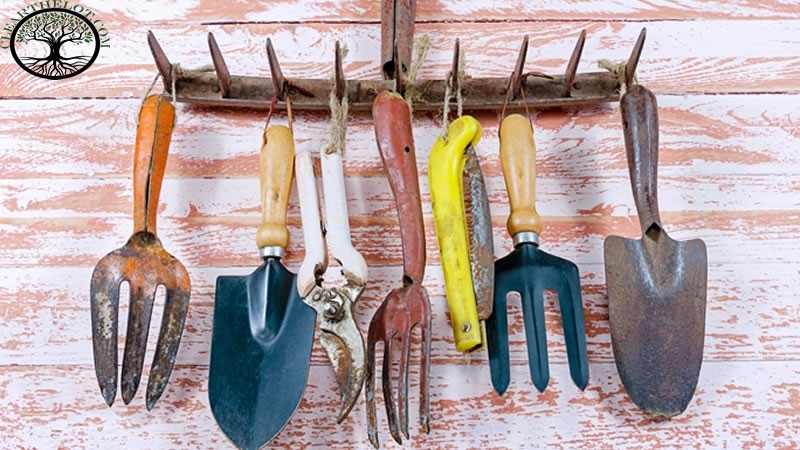 Garden Clearance | Garden clearance near me