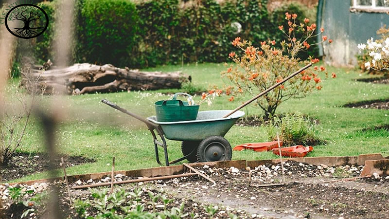 Garden Clearance | Garden clearance near me