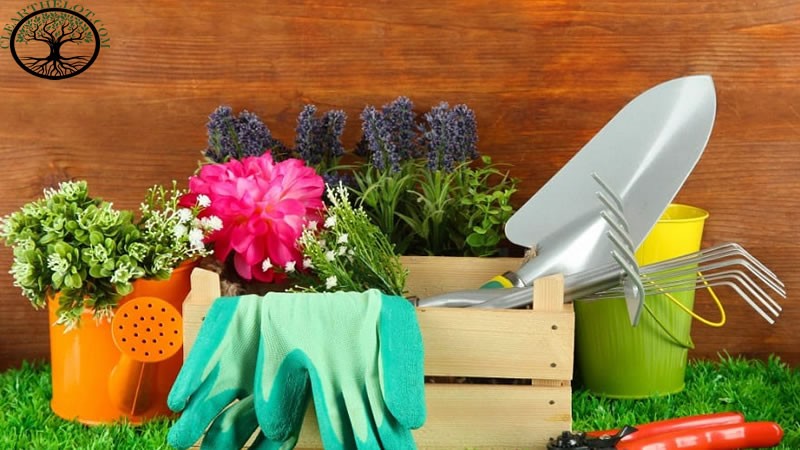 Garden Clearance | Garden clearance near me