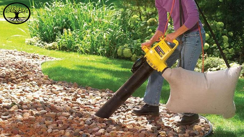 Garden Clearance | Garden clearance near me