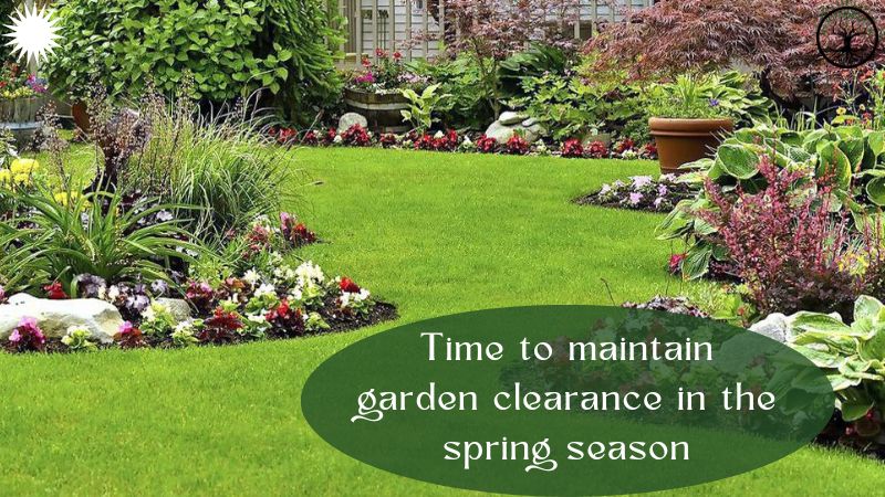 garden Clearance | garden clearance near me