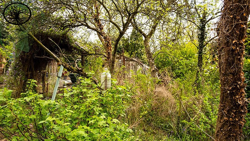 Garden Clearance | Garden clearance near me