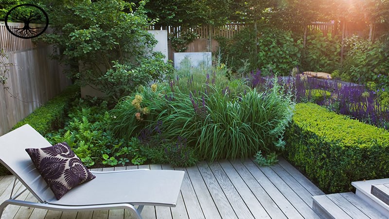 Garden Clearance | Garden clearance near me