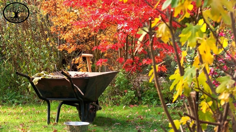 Garden Clearance | Garden clearance near me