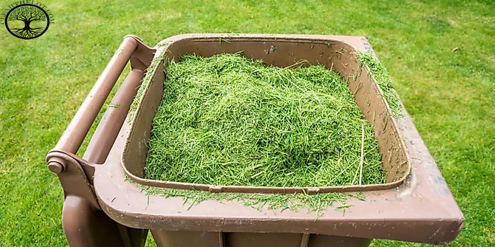 Garden Clearance | Garden clearance near me