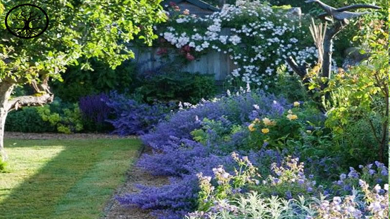 Garden Clearance | Garden clearance near me