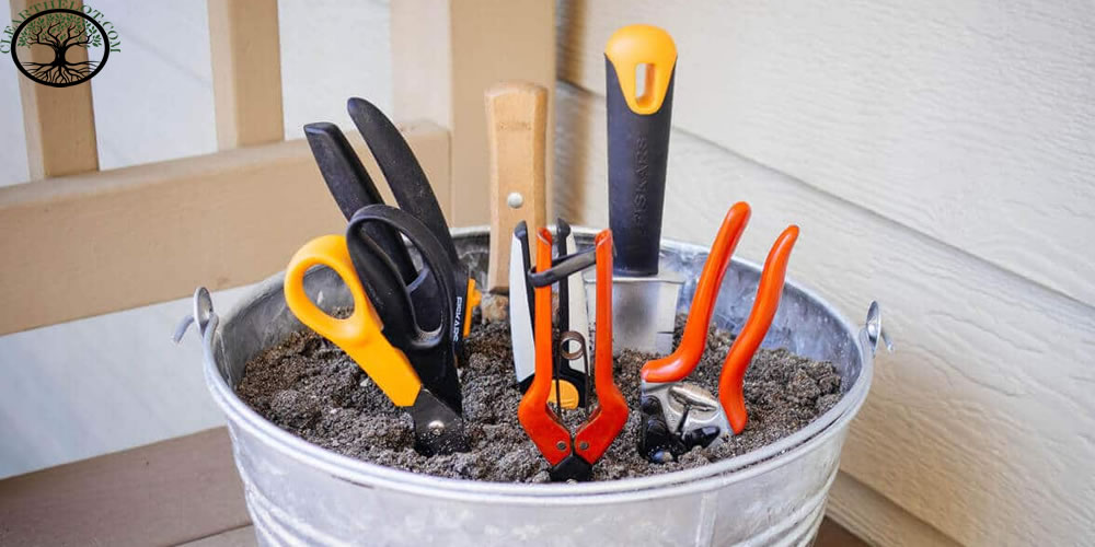 Garden Clearance | Garden clearance near me