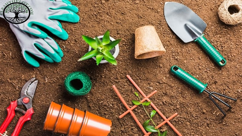 Garden Clearance | Garden clearance near me