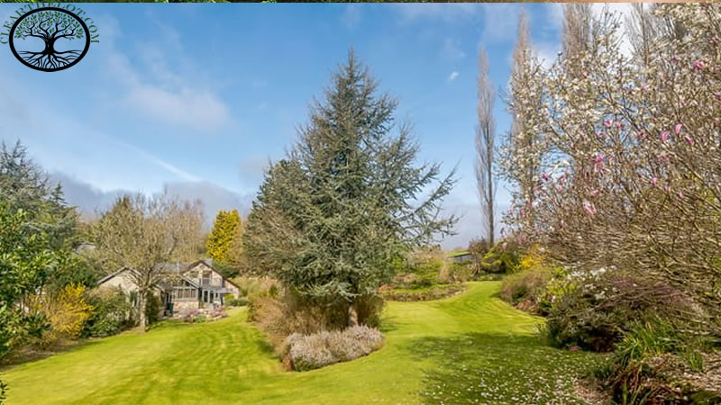 Garden Clearance | Garden clearance near me