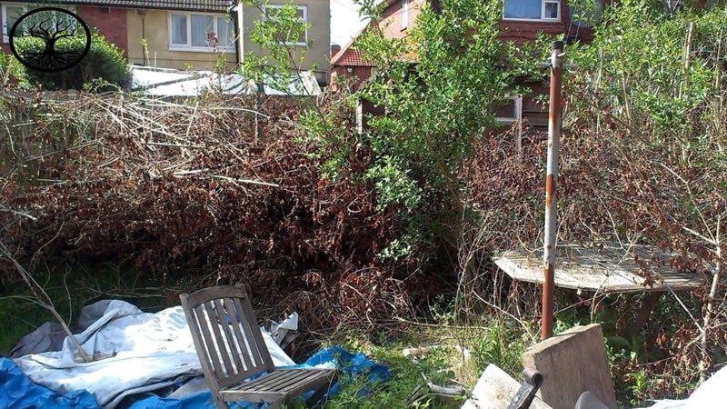garden Clearance | garden clearance near me