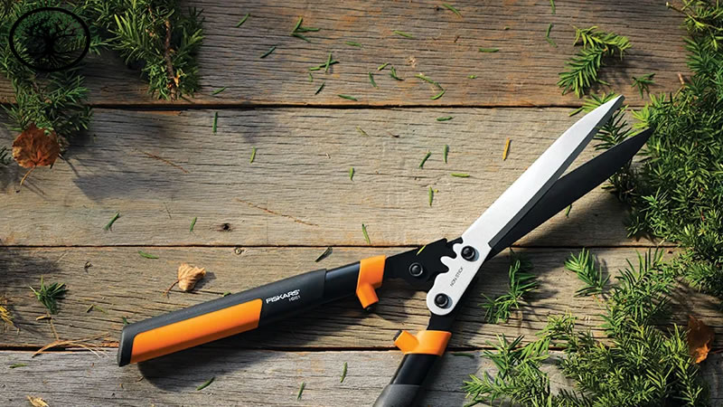 Garden Clearance | Garden clearance near me