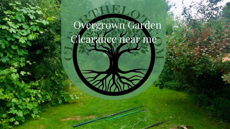 Garden Clearance | Garden clearance near me | Overgrown Garden Clearance | Overgrown Garden Clearance | Local Garden Clearance | Garden Clearance Cost | Garden Clearance Near Me