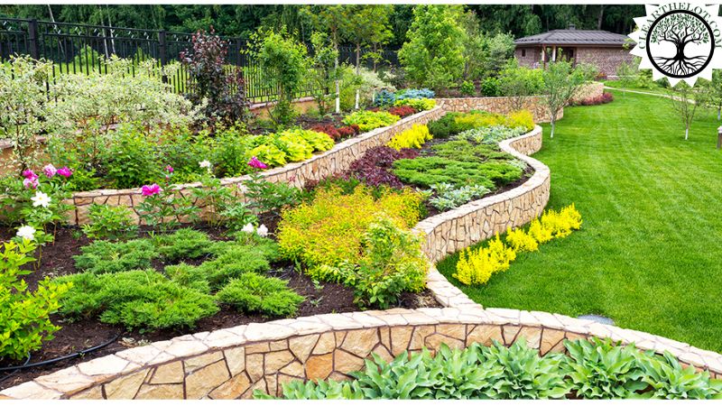 Garden Clearance | Garden clearance near me | Overgrown Garden Clearance | Overgrown Garden Clearance | Overgrown Garden Clearance Near Me | Local Garden Clearance | Garden Clearance Cost | Garden Clearance Near Me
