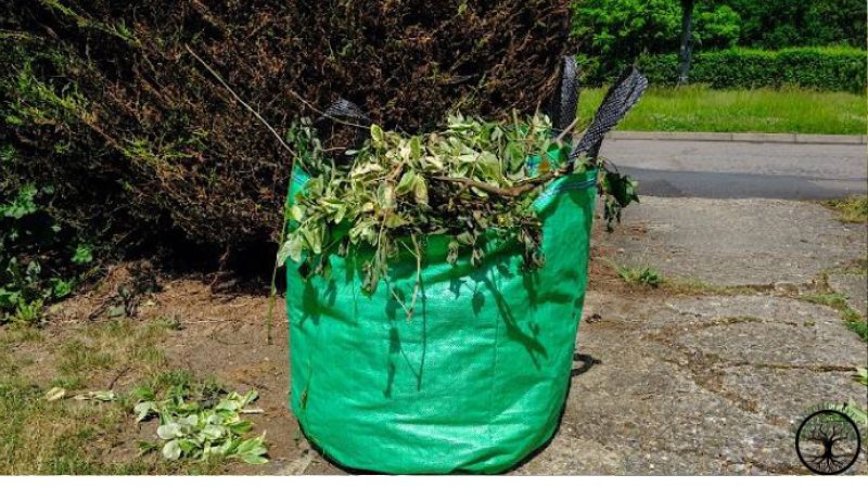 Garden Clearance | Garden clearance near me
