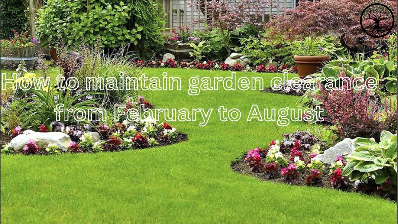 Garden Clearance | Garden clearance near me