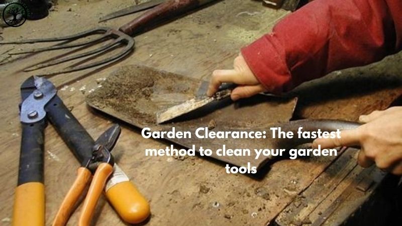 Garden Clearance | Garden clearance near me