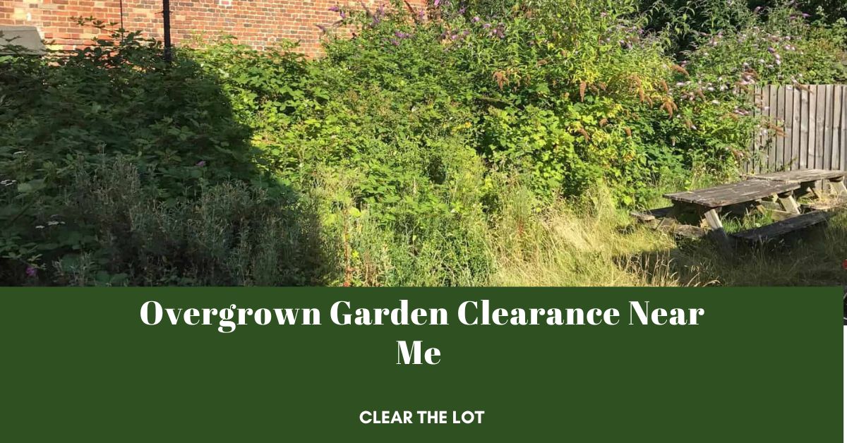 Garden Clearance | Garden clearance near me | Overgrown Garden Clearance | Overgrown Garden Clearance | Local Garden Clearance | Garden Clearance Cost | Garden Clearance Near Me