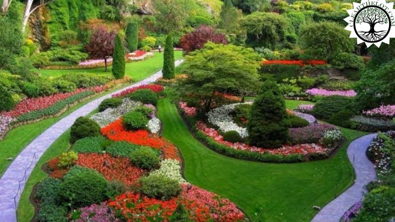 Garden Clearance | Garden clearance near me | Overgrown Garden Clearance | Overgrown Garden Clearance | Overgrown Garden Clearance Near Me | Local Garden Clearance | Garden Clearance Cost | Garden Clearance Near Me