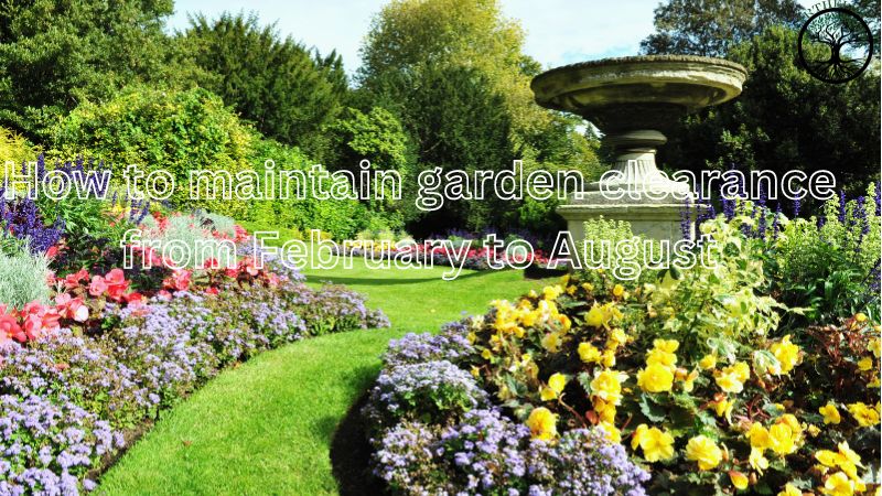Garden Clearance | Garden clearance near me