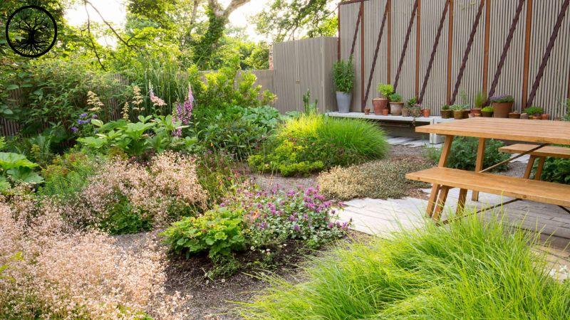 Garden Clearance | Garden clearance near me