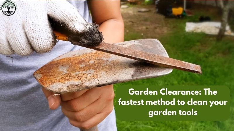 Garden Clearance | Garden clearance near me