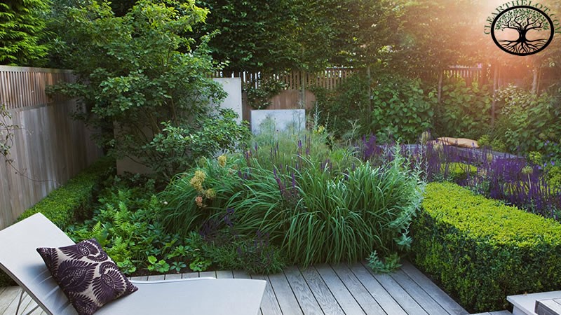 Garden Clearance | Garden clearance near me