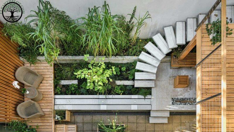 Garden Clearance | Garden clearance near me