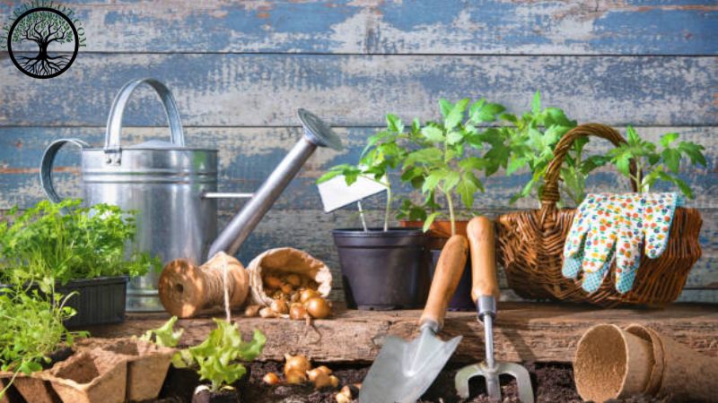 Garden Clearance | Garden clearance near me | Overgrown Garden Clearance | Overgrown Garden Clearance | Local Garden Clearance | Garden Clearance Cost | Garden Clearance Near Me