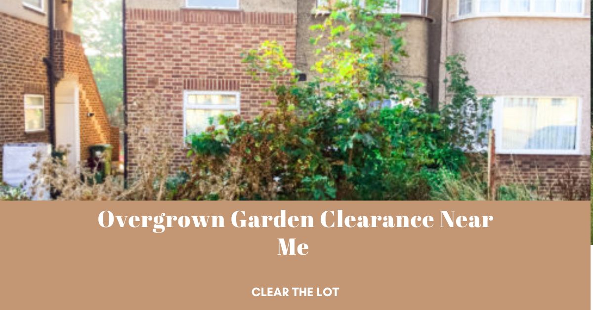 Garden Clearance | Garden clearance near me | Overgrown Garden Clearance | Overgrown Garden Clearance | Local Garden Clearance | Garden Clearance Cost | Garden Clearance Near Me