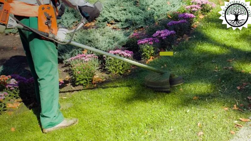 Garden Clearance | Garden clearance near me | Overgrown Garden Clearance | Overgrown Garden Clearance | Overgrown Garden Clearance Near Me | Local Garden Clearance | Garden Clearance Cost | Garden Clearance Near Me