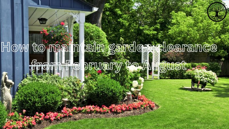Garden Clearance | Garden clearance near me