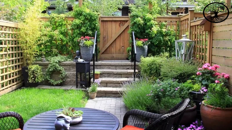 Garden Clearance | Garden clearance near me