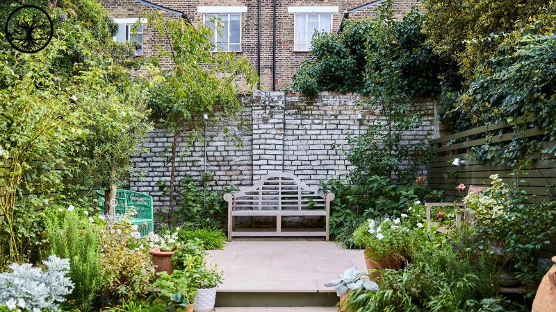Garden Clearance | Garden clearance near me