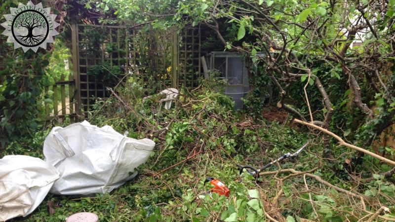 Experienced Garden Clearance Specialists