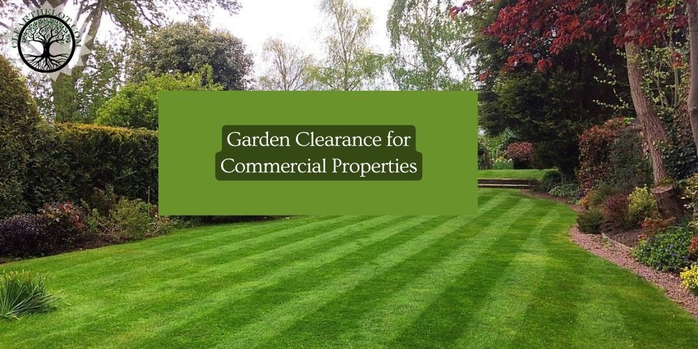 Garden Clearance for Commercial Properties Why It Matters