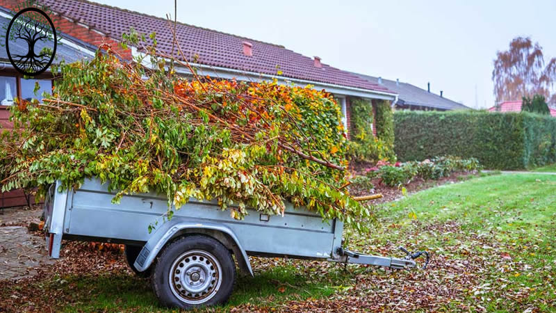 Garden Clearance | Green waste removal for gardens
