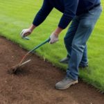 Garden Clearance | Garden Clearance near me | Effective Garden Clearance